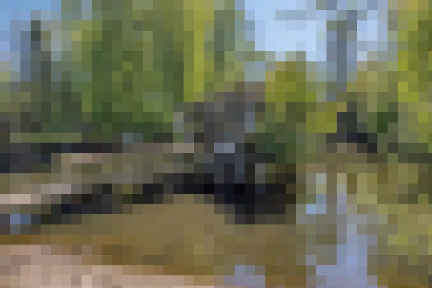 Hooilandweg 10 Mariënheem thumbnail 59