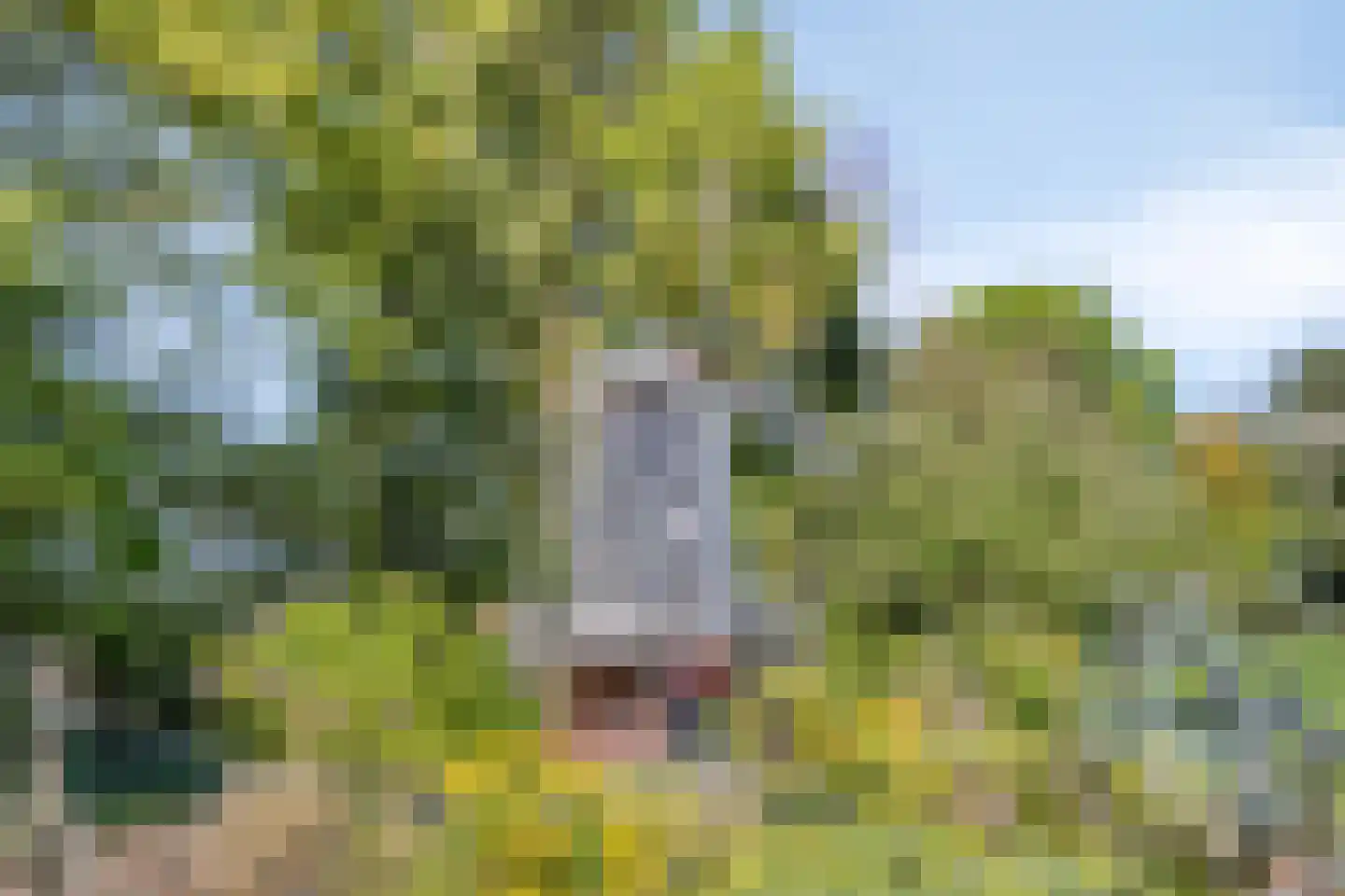 Hooilandweg 10 Mariënheem thumbnail 60