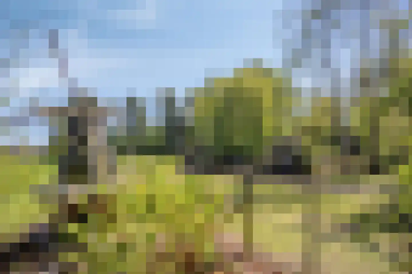 Hooilandweg 10 Mariënheem thumbnail 65