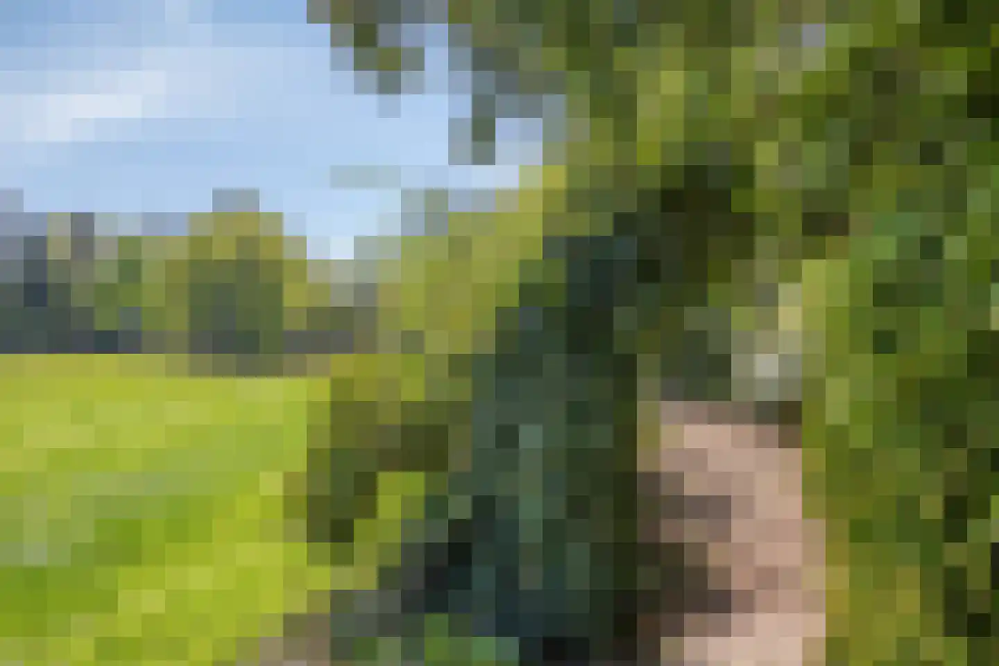 Hooilandweg 10 Mariënheem thumbnail 66
