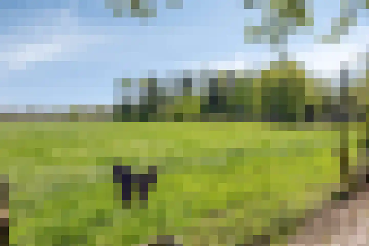 Hooilandweg 10 Mariënheem thumbnail 67