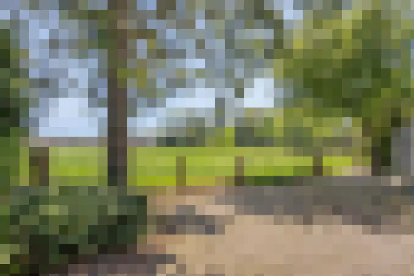 Hooilandweg 10 Mariënheem thumbnail 68