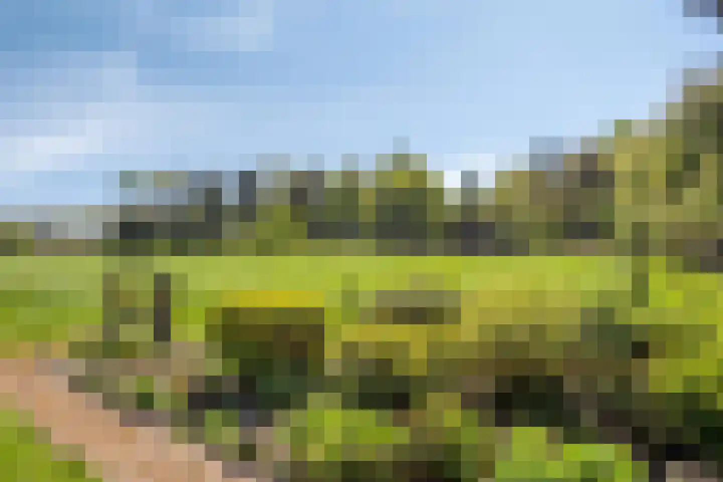 Hooilandweg 10 Mariënheem thumbnail 69