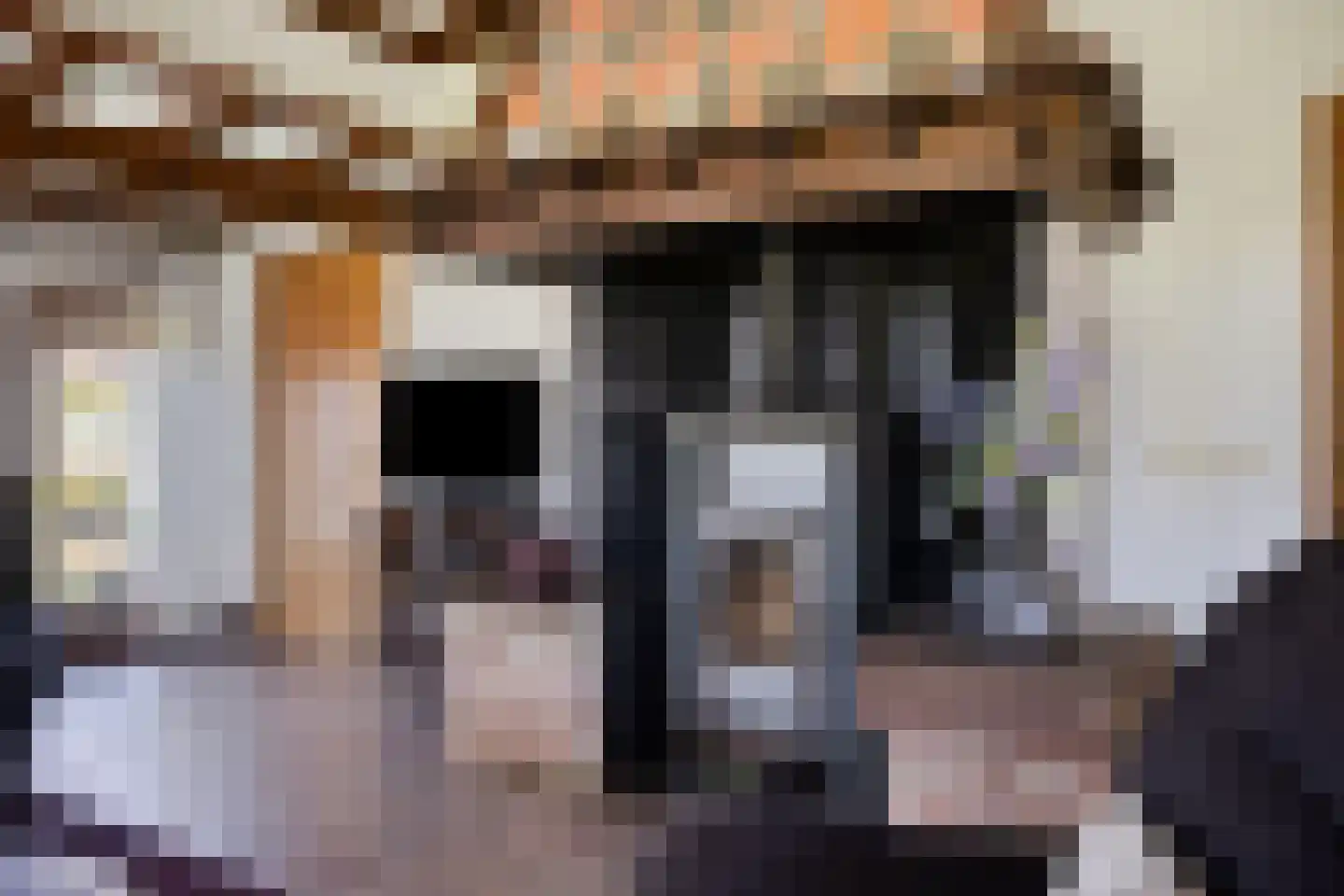 Hooilandweg 10 Mariënheem thumbnail 7