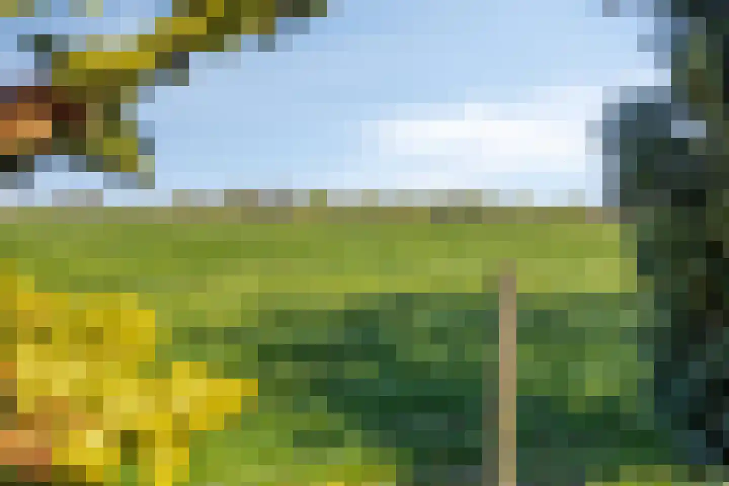 Hooilandweg 10 Mariënheem thumbnail 73