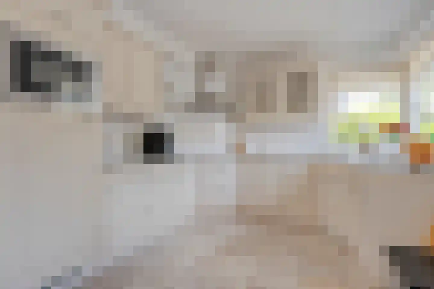 Hooimaatweg 9 Losser thumbnail 15