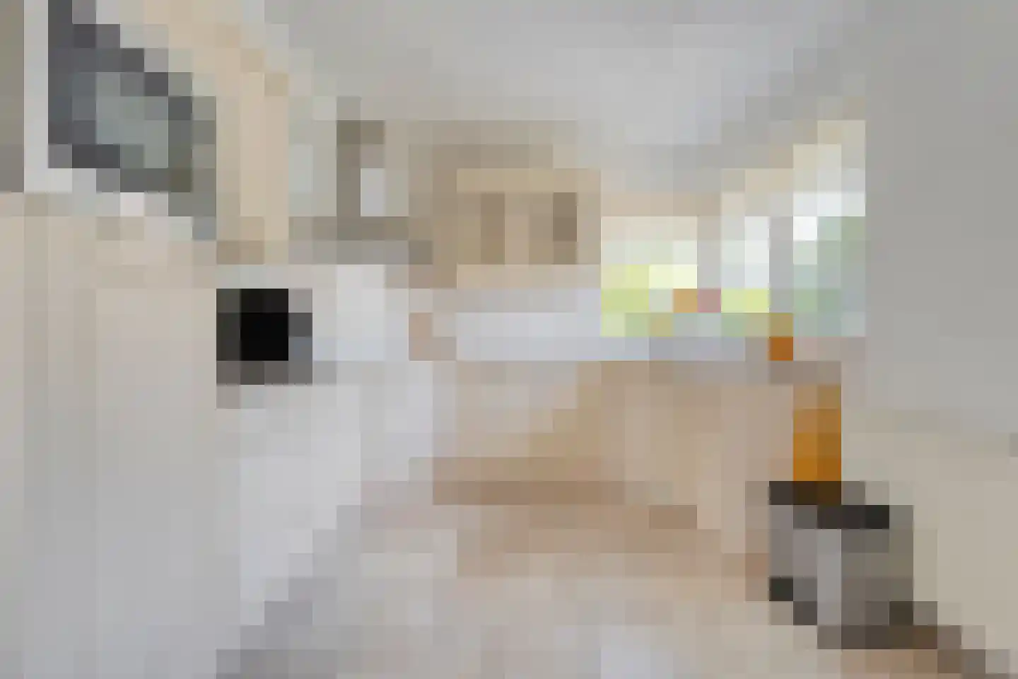 Hooimaatweg 9 Losser thumbnail 16