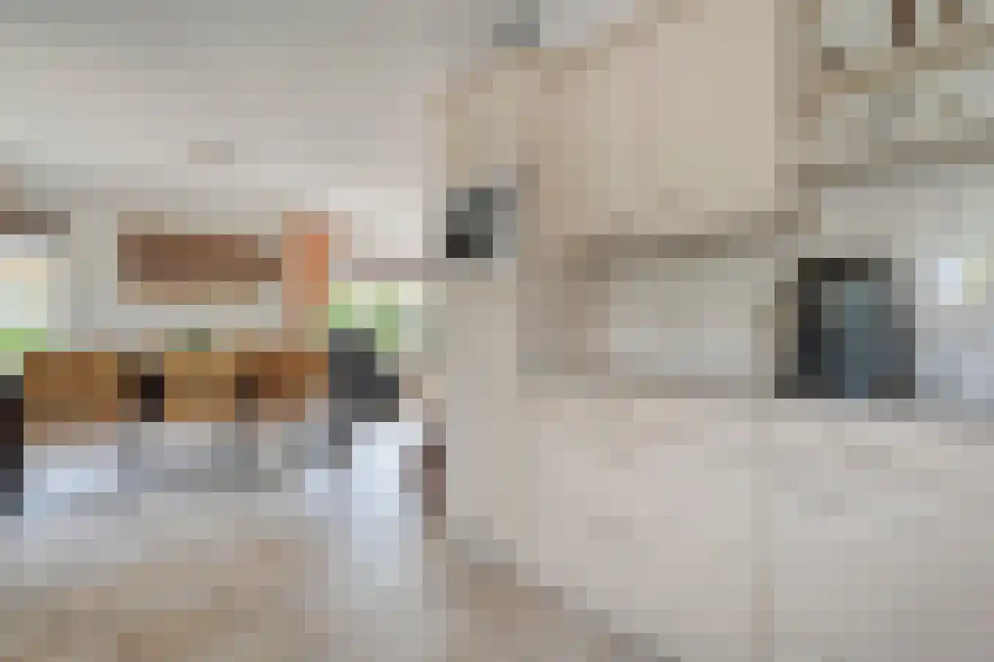 Hooimaatweg 9 Losser thumbnail 17