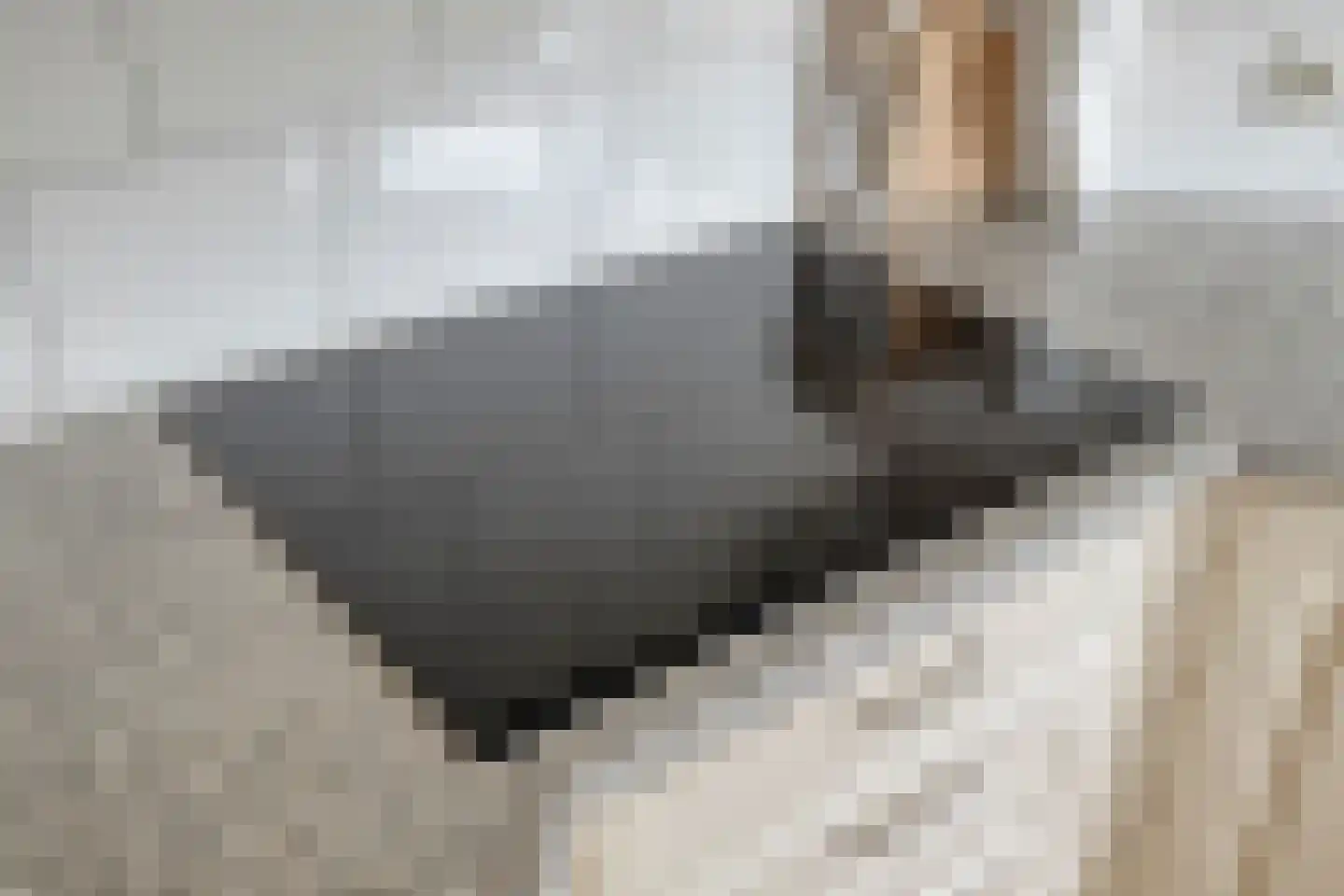 Hooimaatweg 9 Losser thumbnail 18
