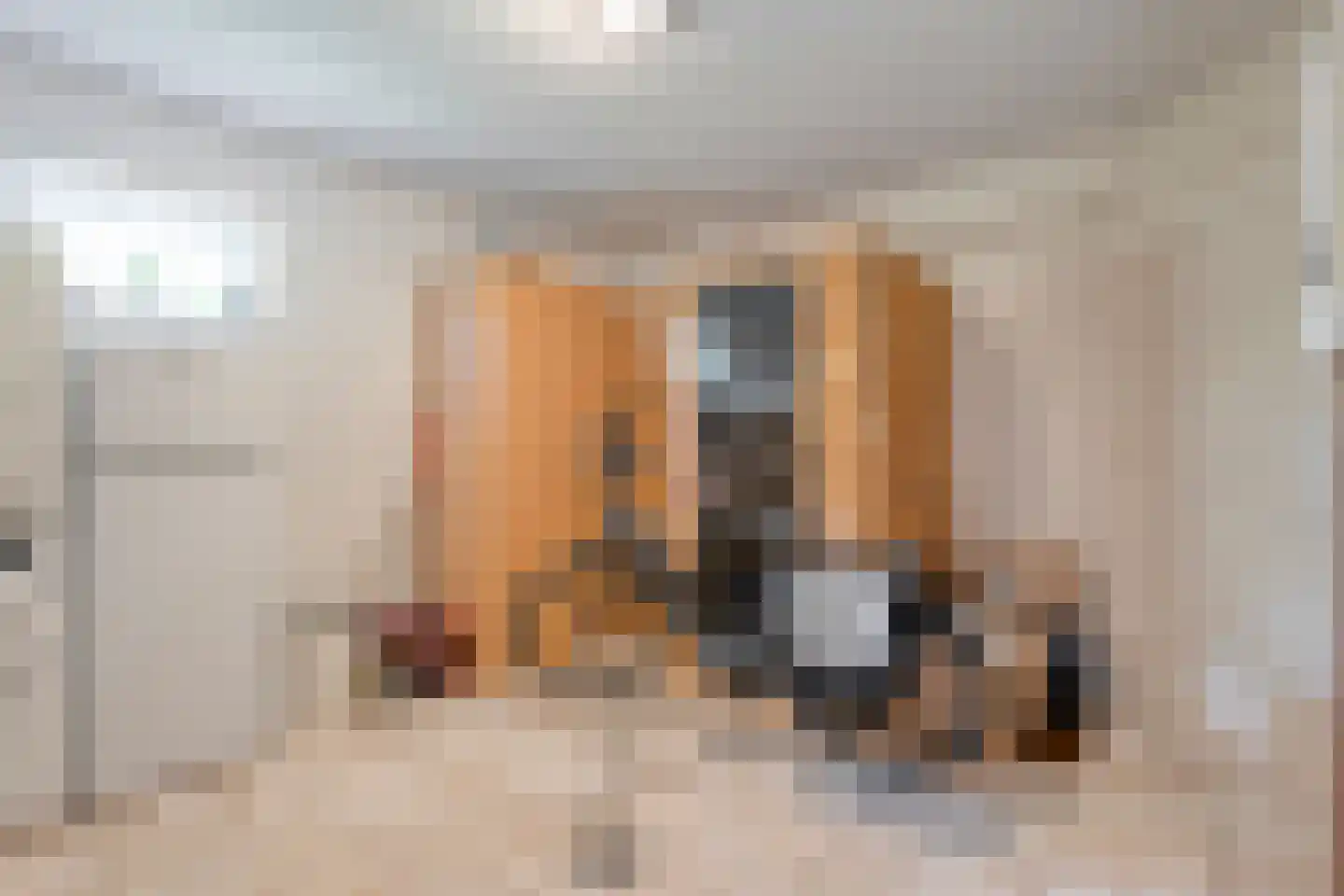 Hooimaatweg 9 Losser thumbnail 37