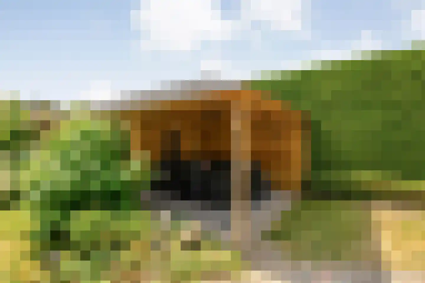 Hooimaatweg 9 Losser thumbnail 38