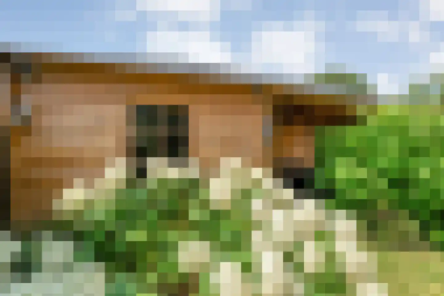 Hooimaatweg 9 Losser thumbnail 41