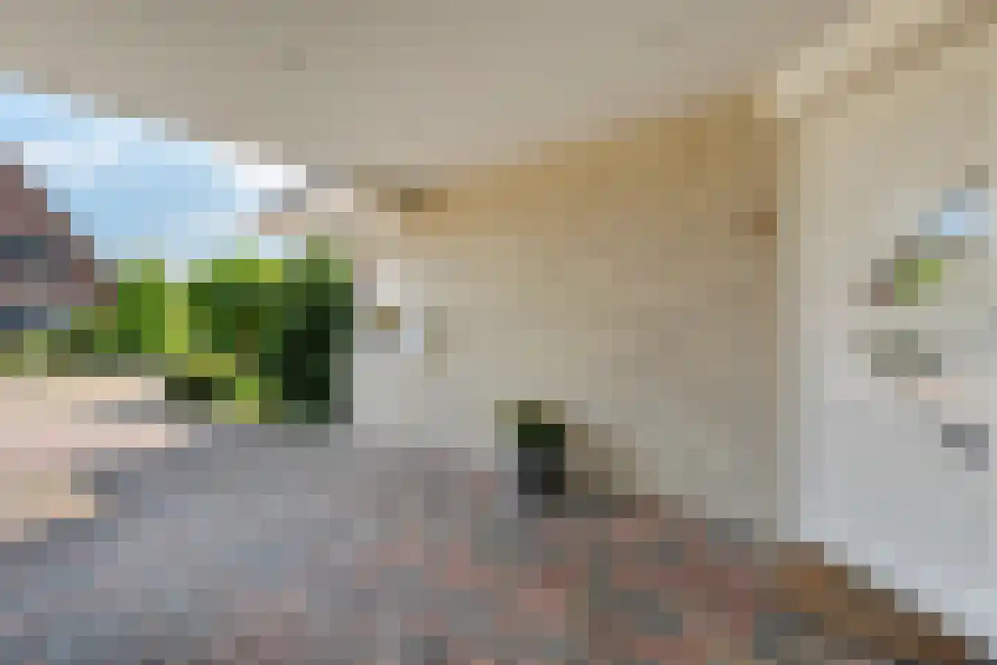 Hooimaatweg 9 Losser thumbnail 7