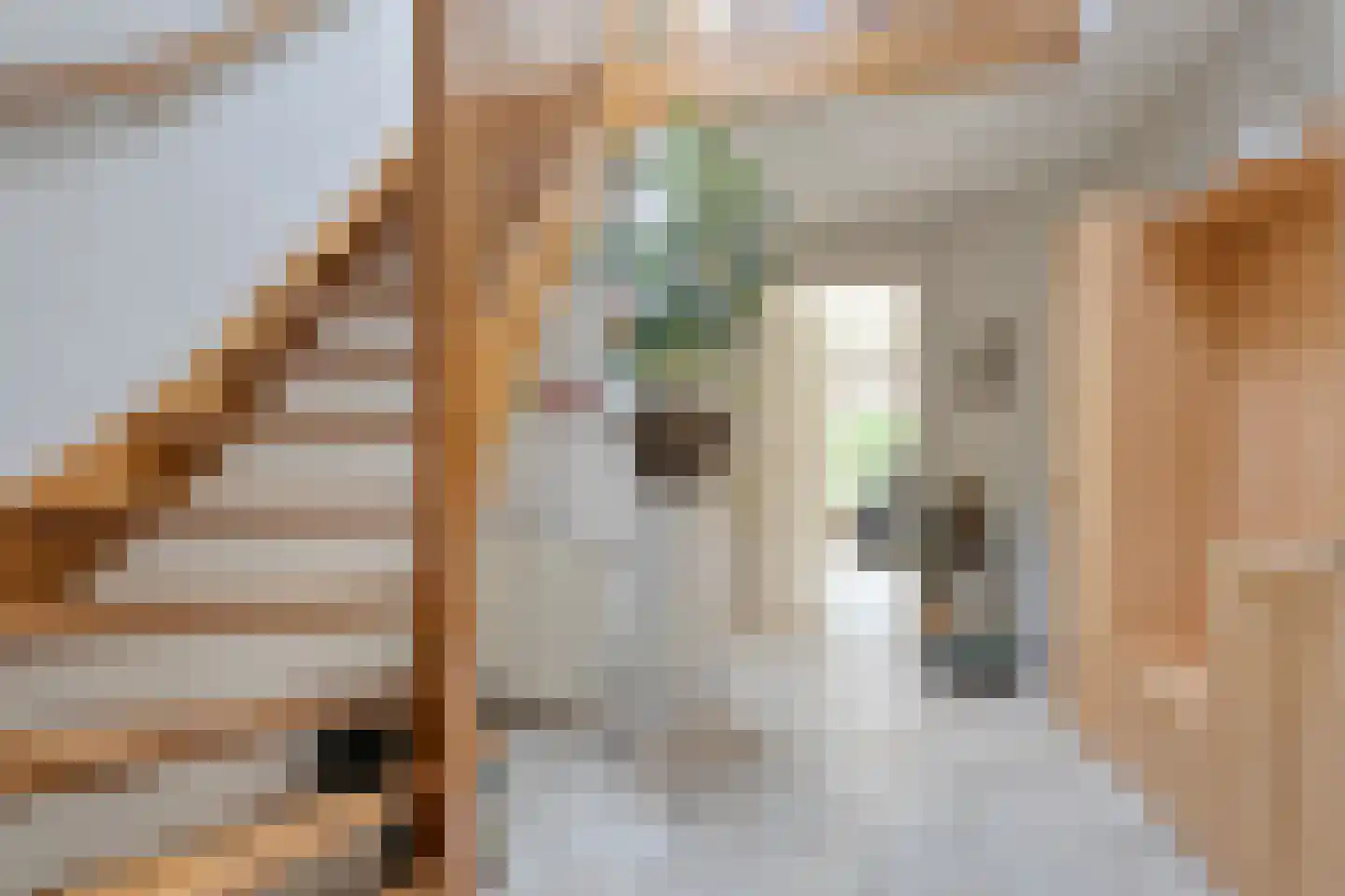 Hooimaatweg 9 Losser thumbnail 9