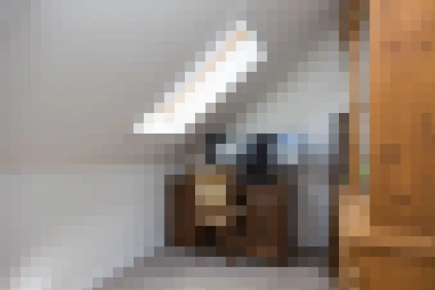 Hooimate 17 Brummen thumbnail 24