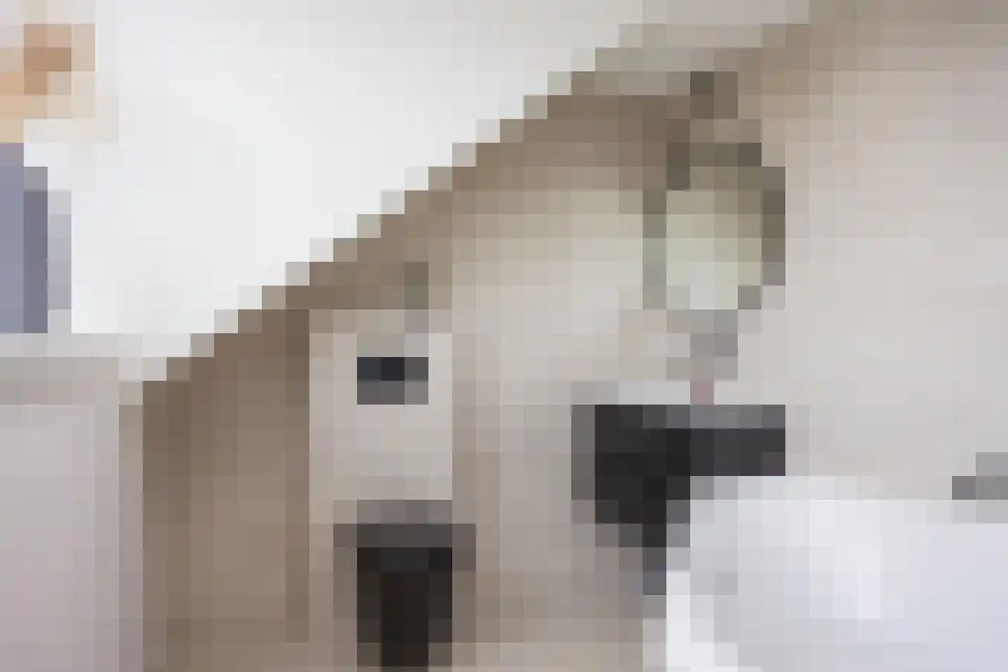 Hooimate 17 Brummen thumbnail 25
