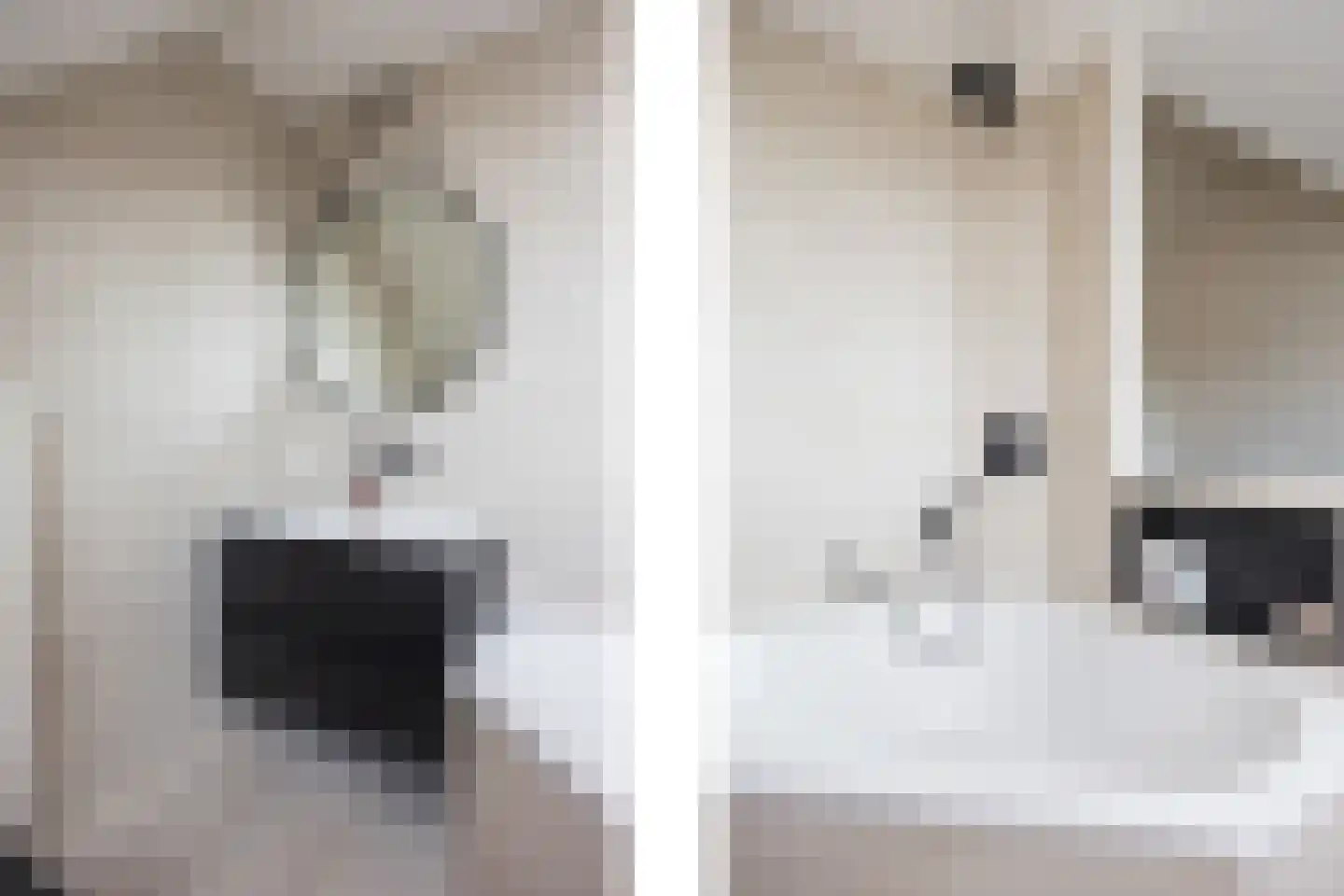 Hooimate 17 Brummen thumbnail 26