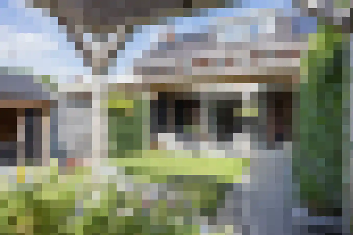 Hooimate 17 Brummen thumbnail 30