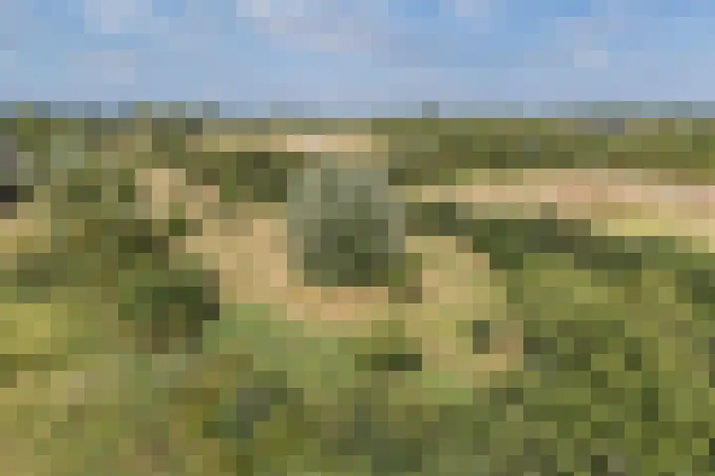 Hooimate 17 Brummen thumbnail 33