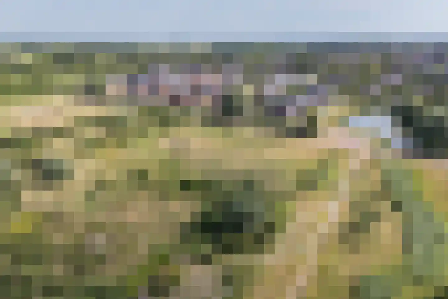 Hooimate 17 Brummen thumbnail 34