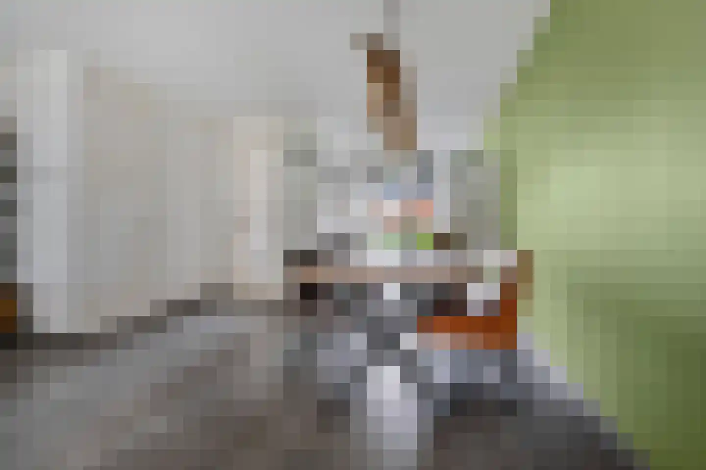 Hooimate 19 Brummen thumbnail 10