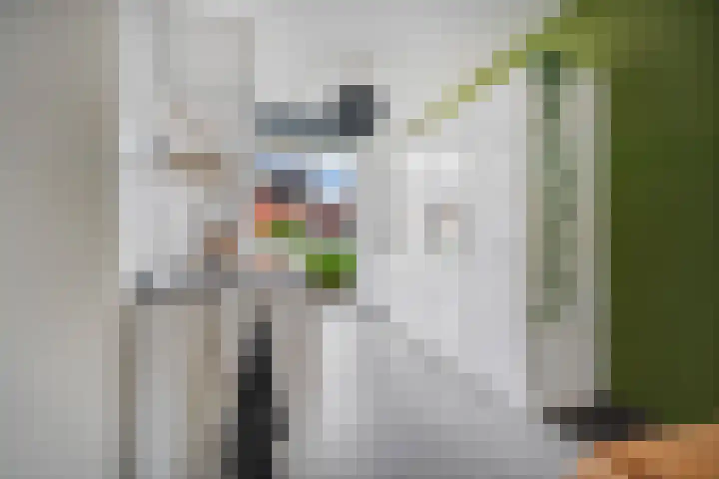 Hooimate 19 Brummen thumbnail 12