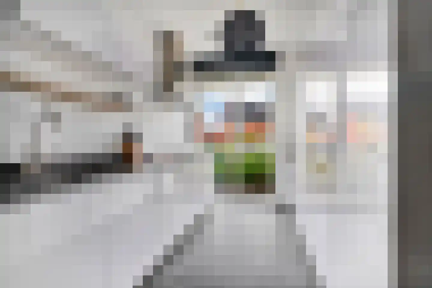 Hooimate 19 Brummen thumbnail 13