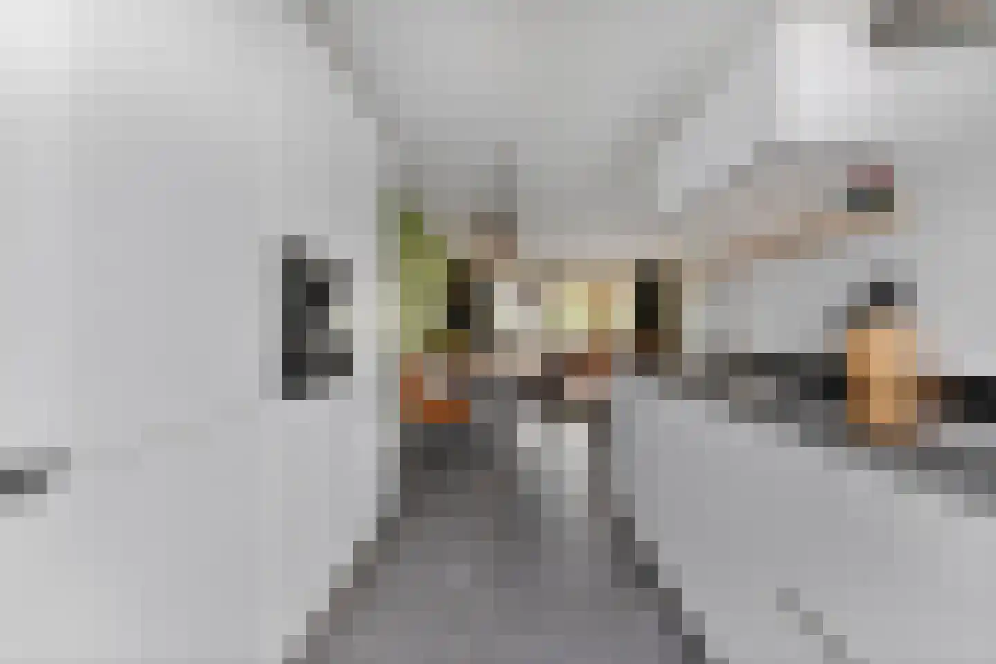 Hooimate 19 Brummen thumbnail 14