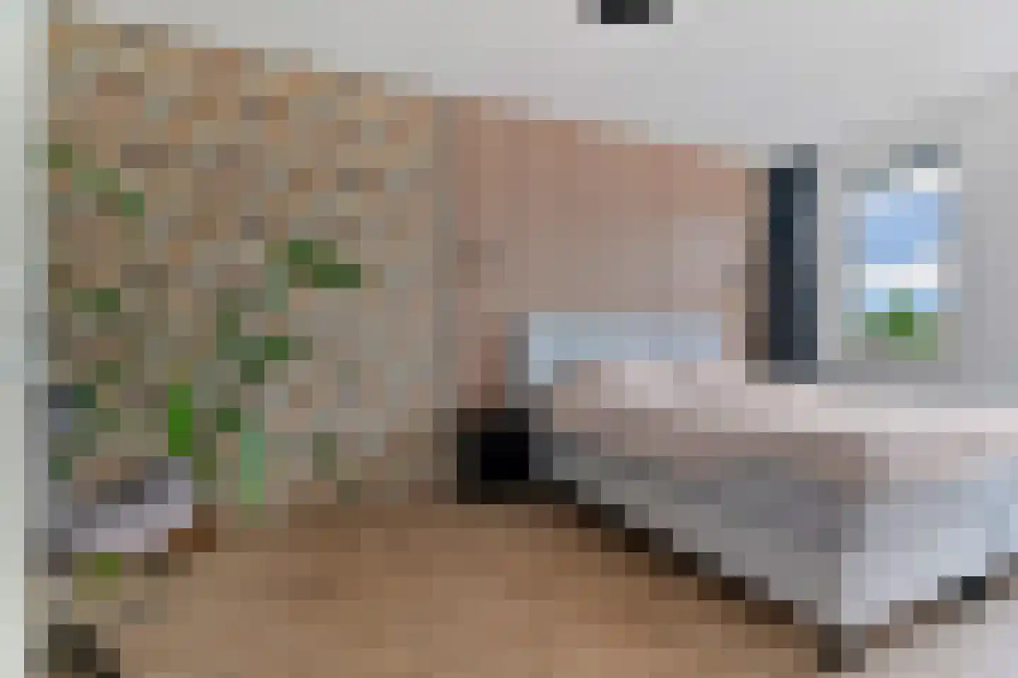 Hooimate 19 Brummen thumbnail 22