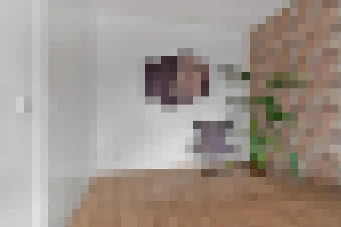 Hooimate 19 Brummen thumbnail 23