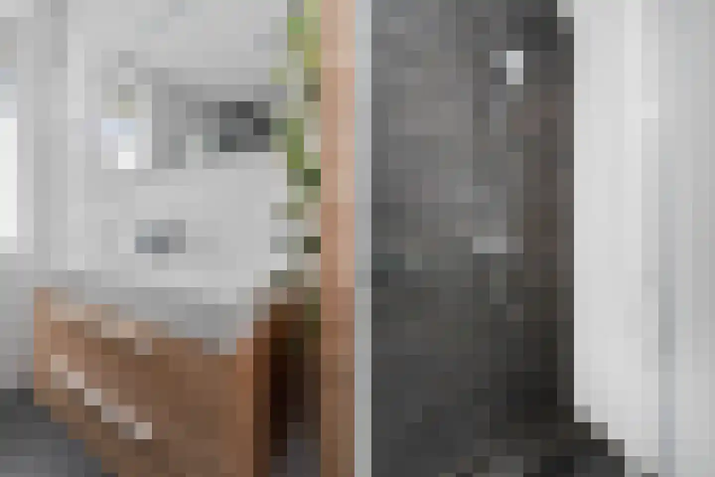 Hooimate 19 Brummen thumbnail 32