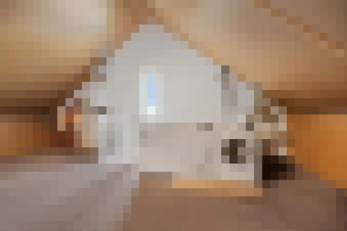 Hooimate 19 Brummen thumbnail 34