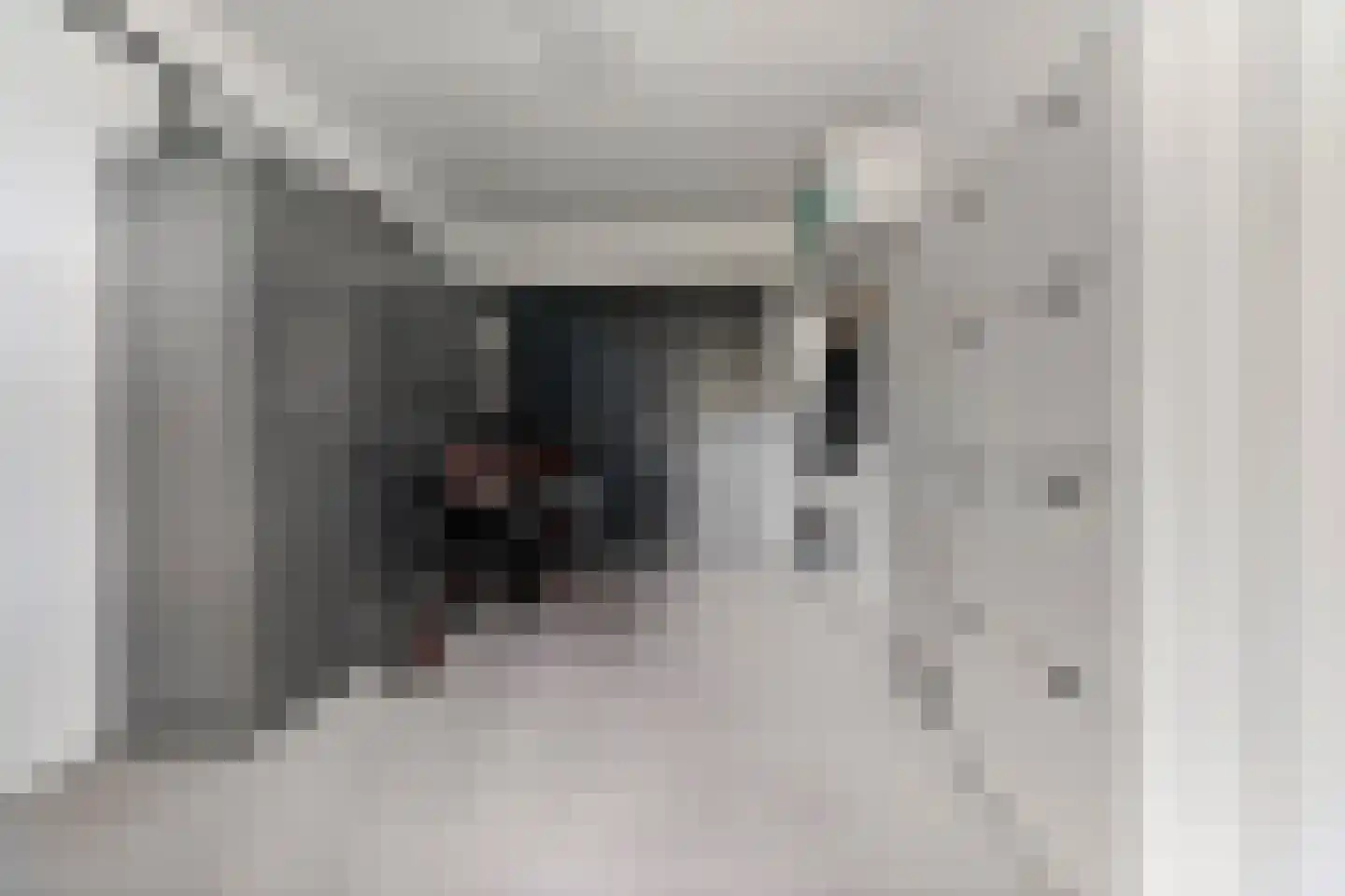 Hooimate 19 Brummen thumbnail 36