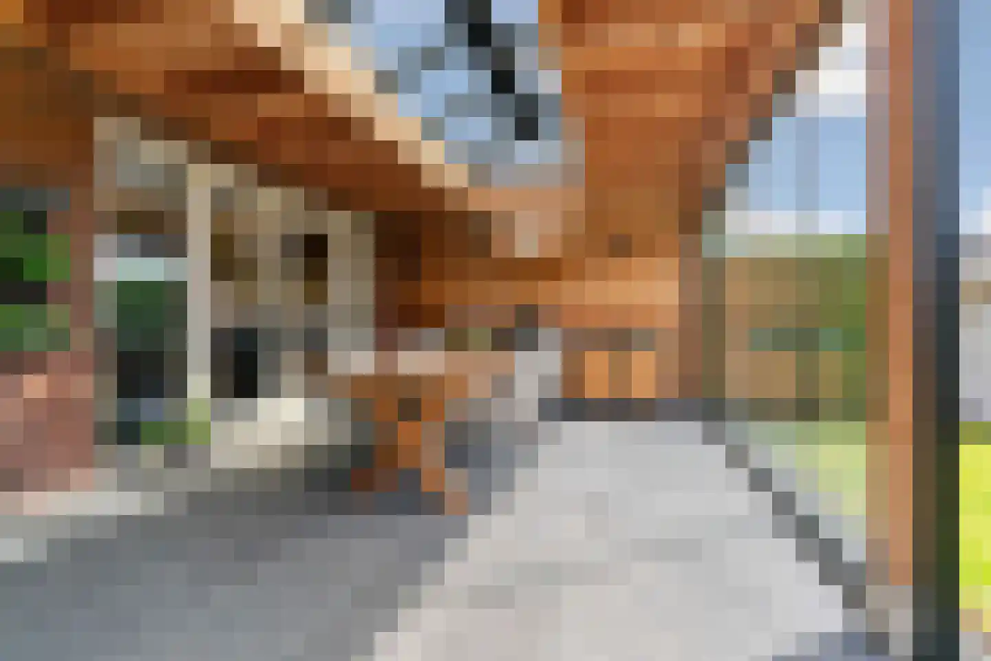 Hooimate 19 Brummen thumbnail 39