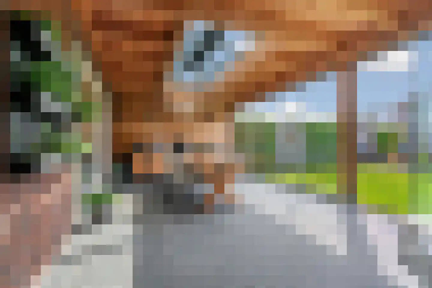 Hooimate 19 Brummen thumbnail 4