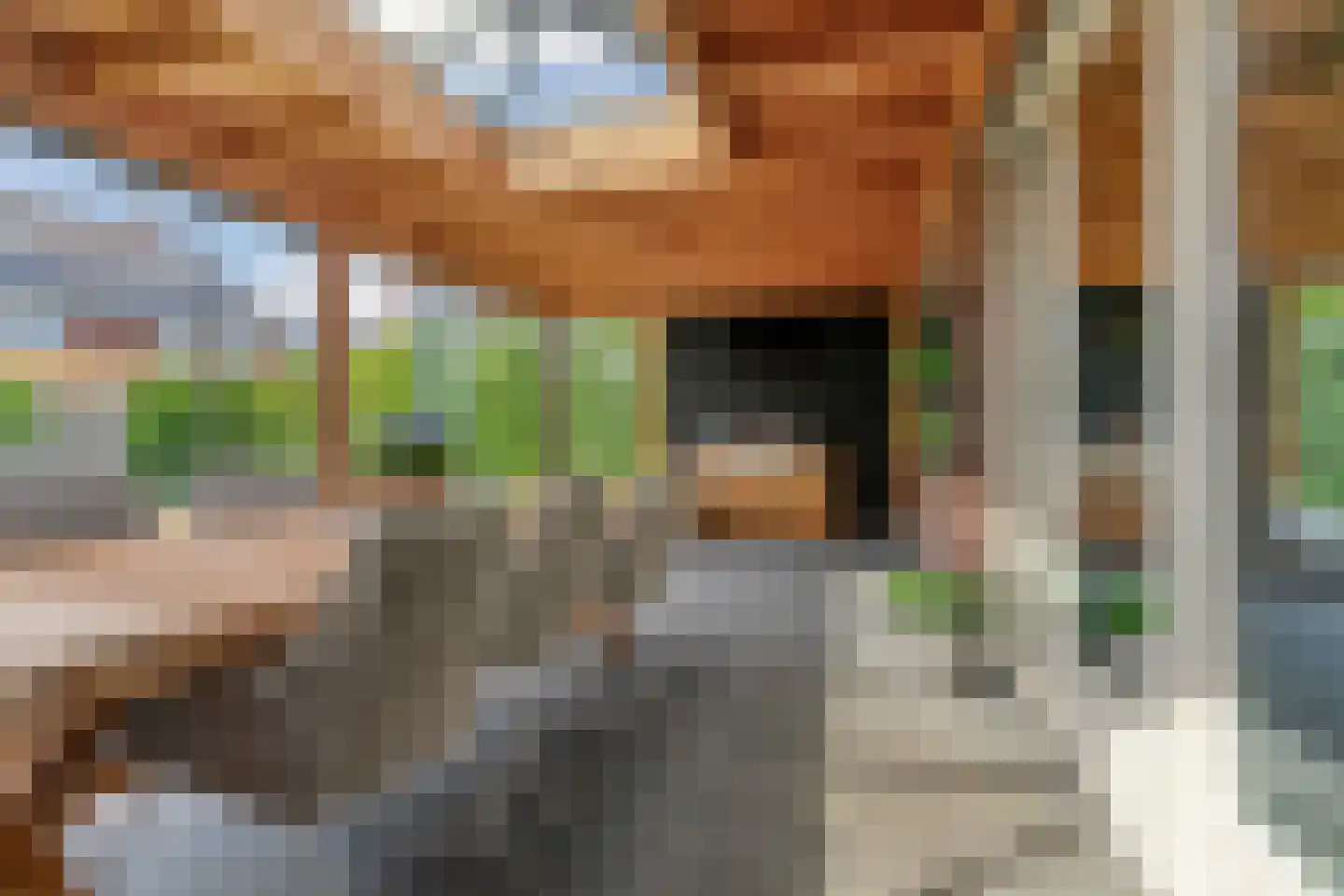 Hooimate 19 Brummen thumbnail 41