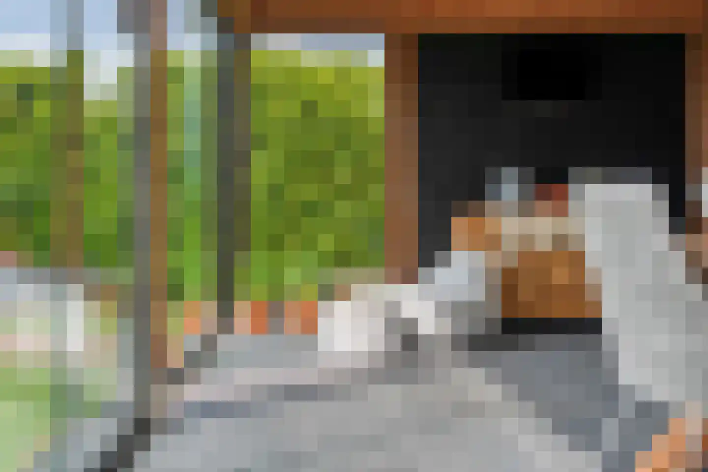Hooimate 19 Brummen thumbnail 42