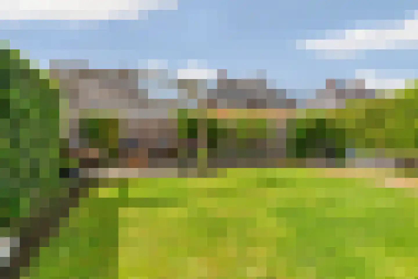 Hooimate 19 Brummen thumbnail 45