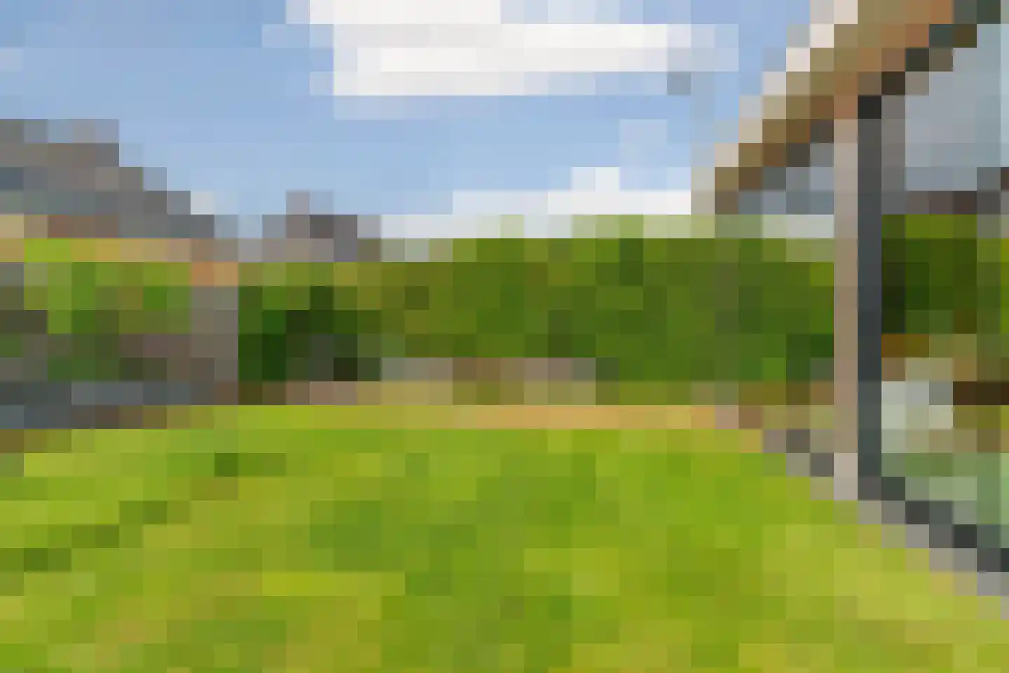 Hooimate 19 Brummen thumbnail 46