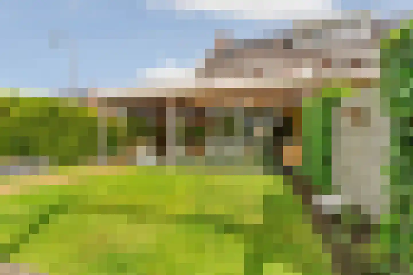 Hooimate 19 Brummen thumbnail 48