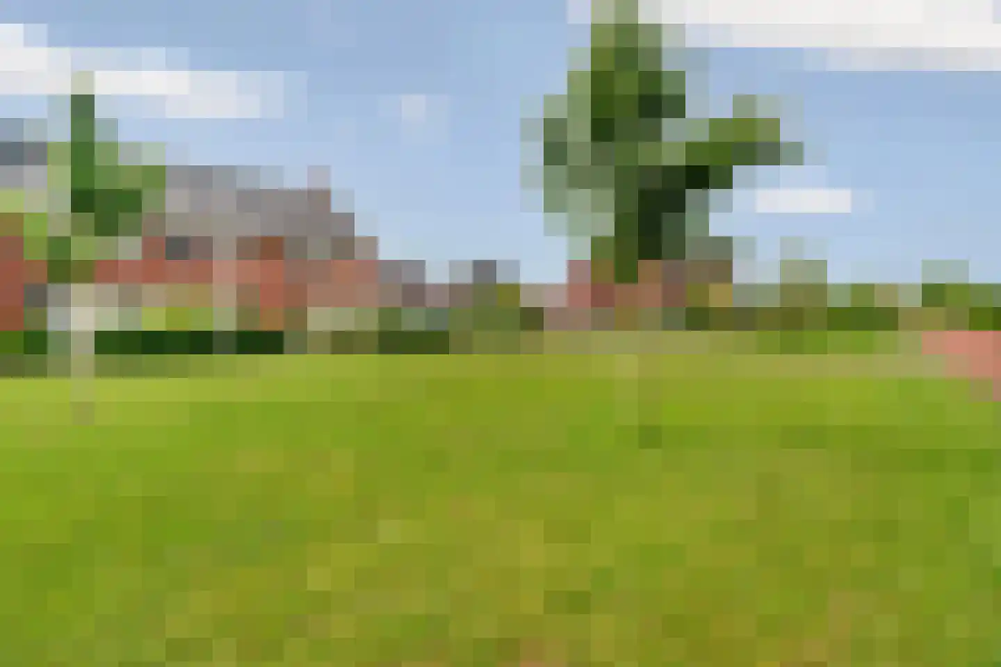 Hooimate 19 Brummen thumbnail 62