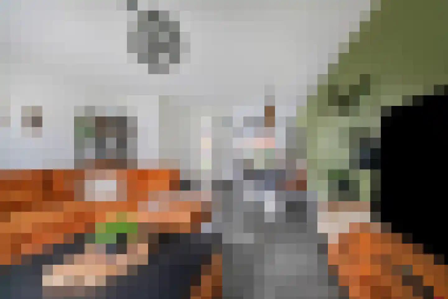 Hooimate 19 Brummen thumbnail 8