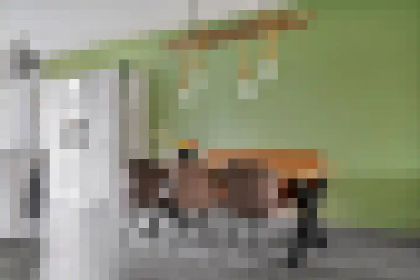 Hooimate 19 Brummen thumbnail 9