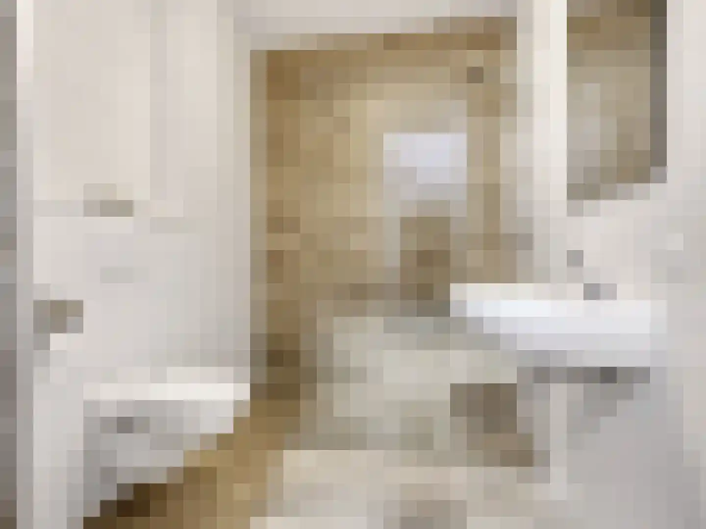 Hooimate 2 Brummen thumbnail 17