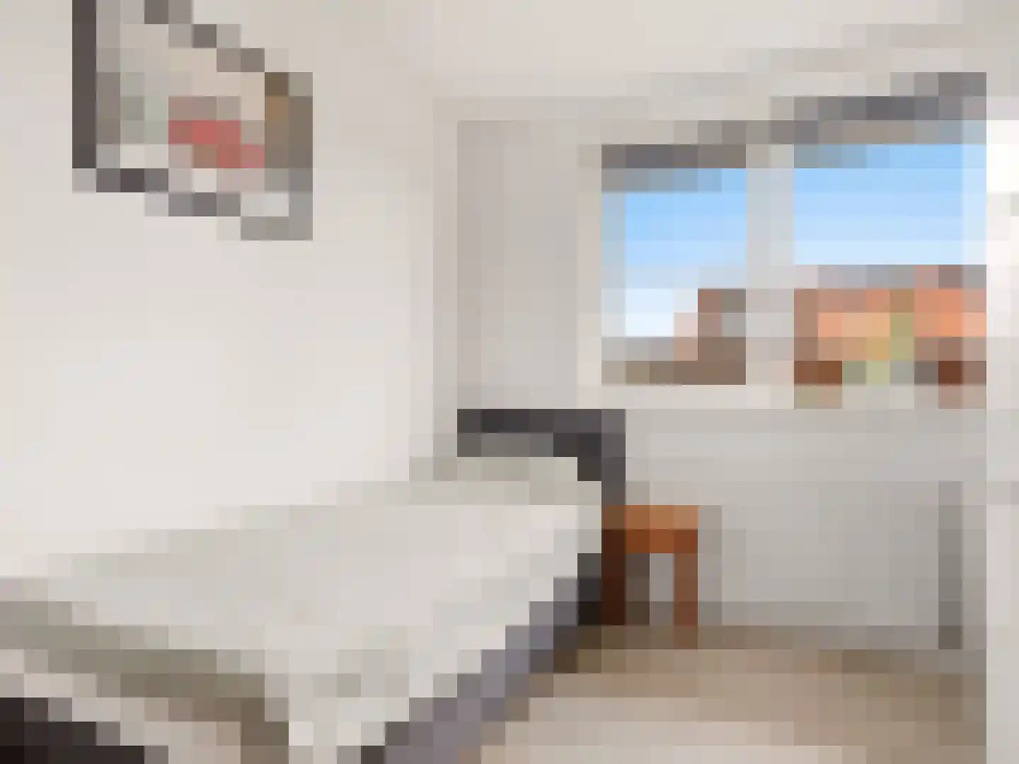 Hooimate 2 Brummen thumbnail 19