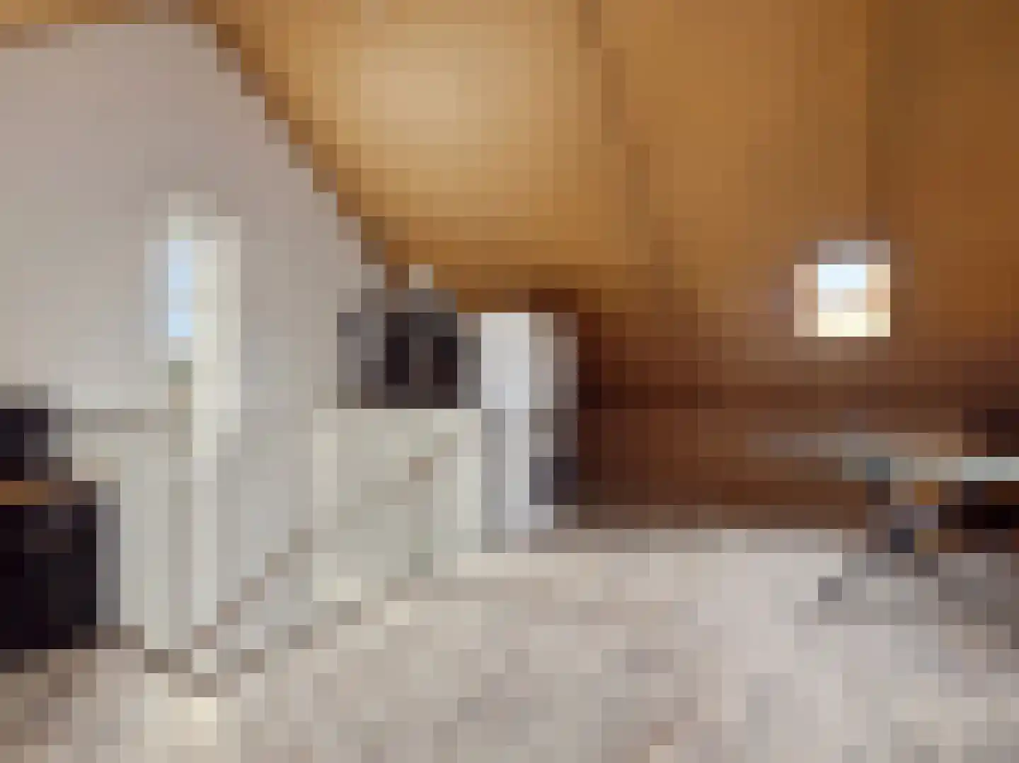 Hooimate 2 Brummen thumbnail 22