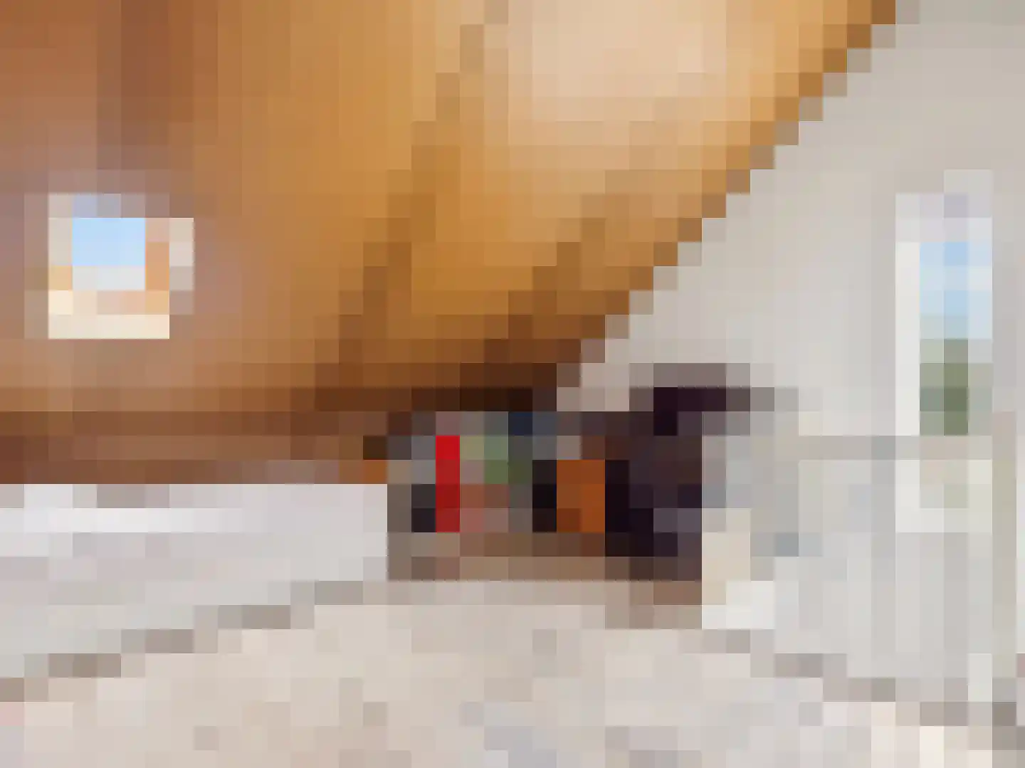 Hooimate 2 Brummen thumbnail 23