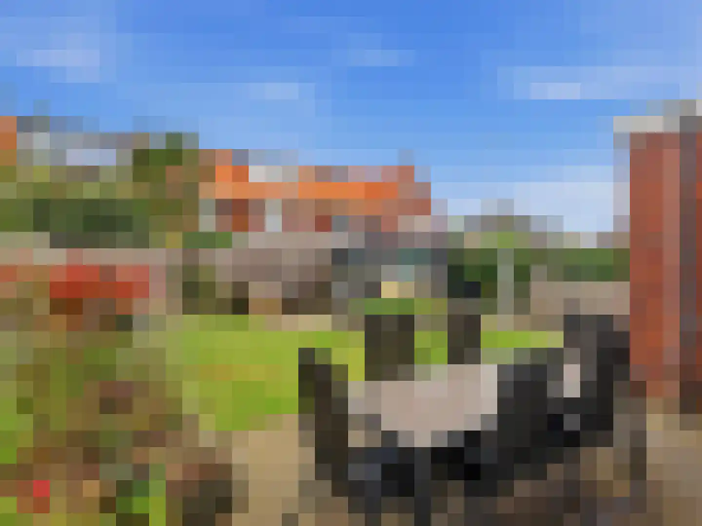 Hooimate 2 Brummen thumbnail 25