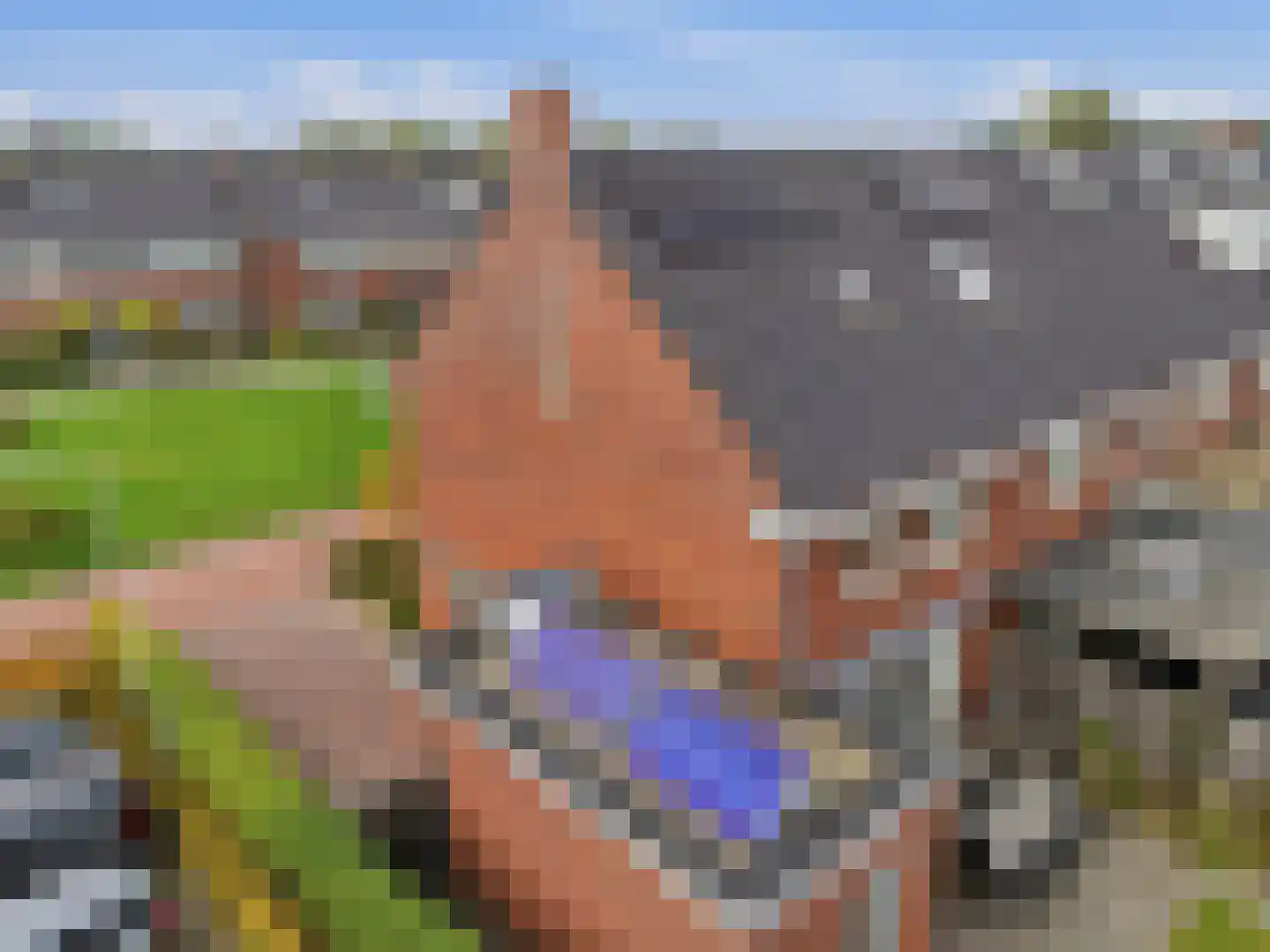 Hooimate 2 Brummen thumbnail 29
