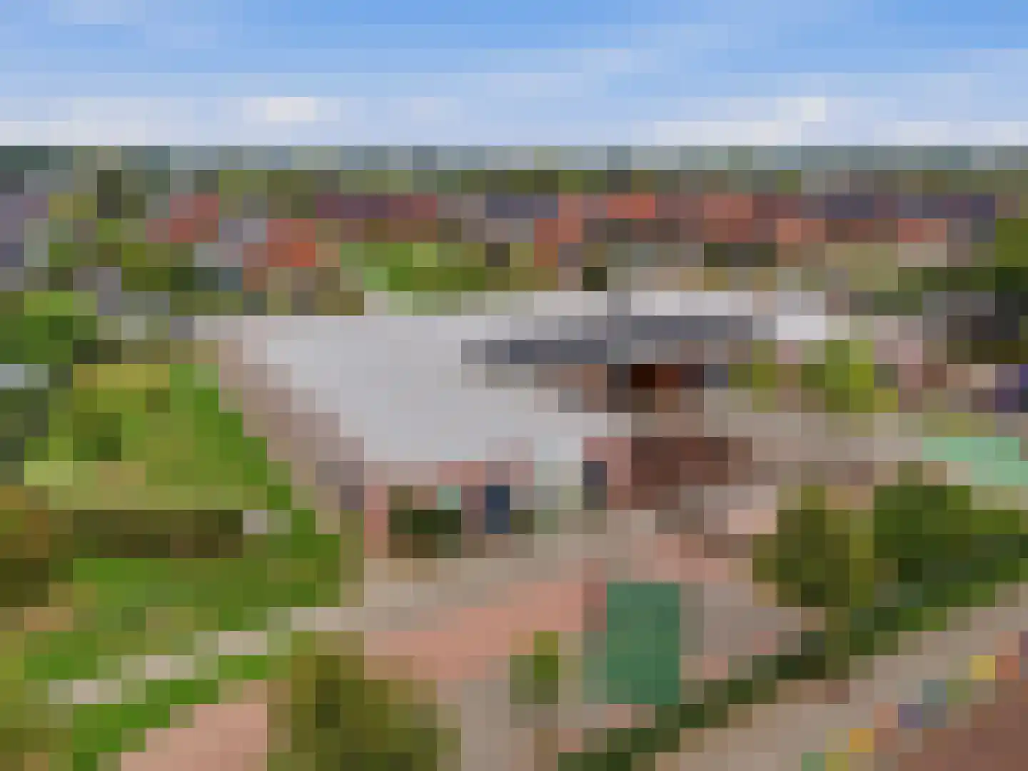 Hooimate 2 Brummen thumbnail 32
